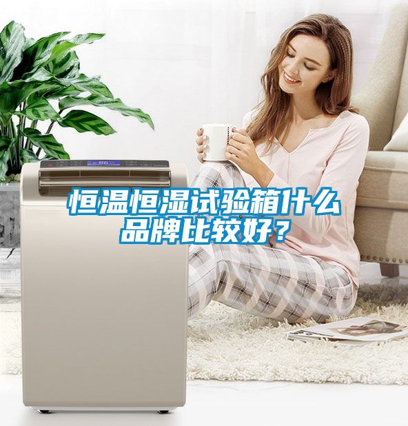 恒溫恒濕試驗(yàn)箱什么品牌比較好？