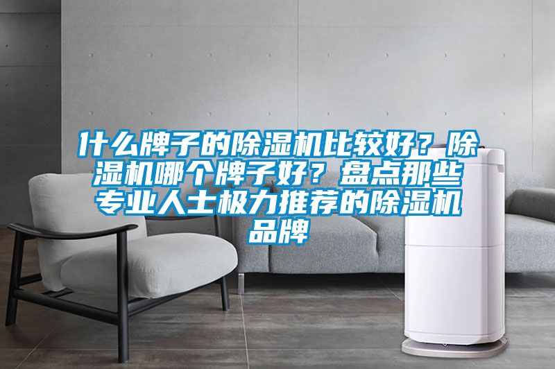 什么牌子的除濕機比較好？除濕機哪個牌子好？盤點那些專業(yè)人士極力推薦的除濕機品牌