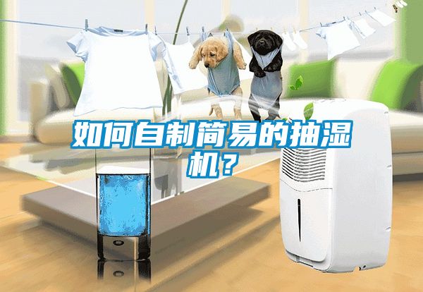 如何自制簡易的抽濕機？