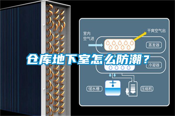 倉庫地下室怎么防潮？