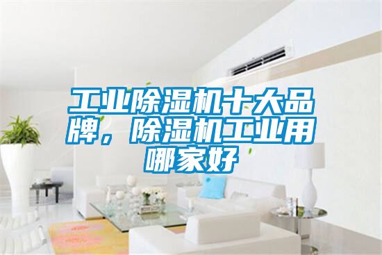 工業(yè)除濕機(jī)十大品牌，除濕機(jī)工業(yè)用哪家好