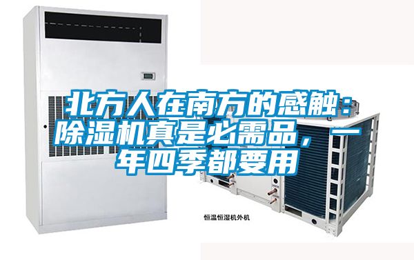 北方人在南方的感觸：除濕機真是必需品，一年四季都要用