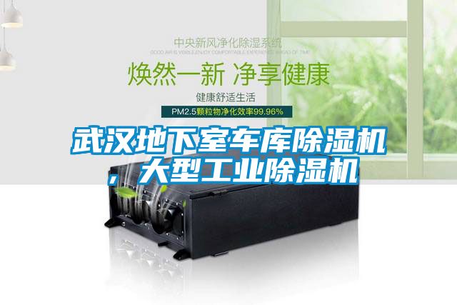 武漢地下室車庫除濕機，大型工業(yè)除濕機