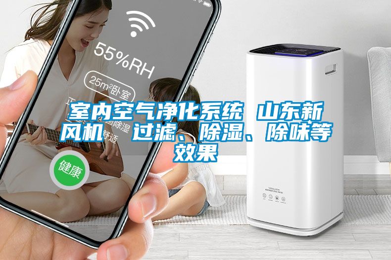 室內(nèi)空氣凈化系統(tǒng) 山東新風(fēng)機(jī)  過(guò)濾、除濕、除味等效果