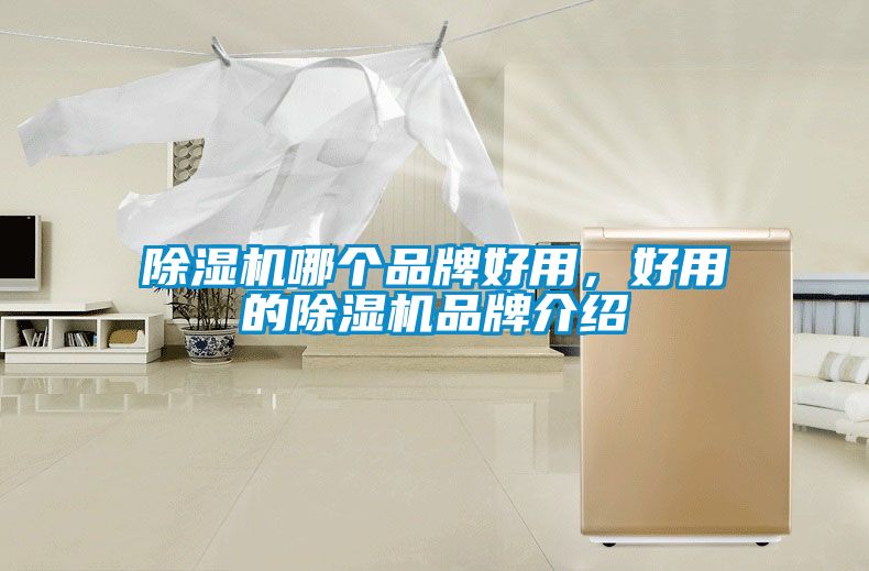 除濕機哪個品牌好用，好用的除濕機品牌介紹
