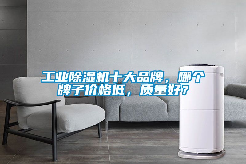 工業(yè)除濕機(jī)十大品牌，哪個(gè)牌子價(jià)格低，質(zhì)量好？