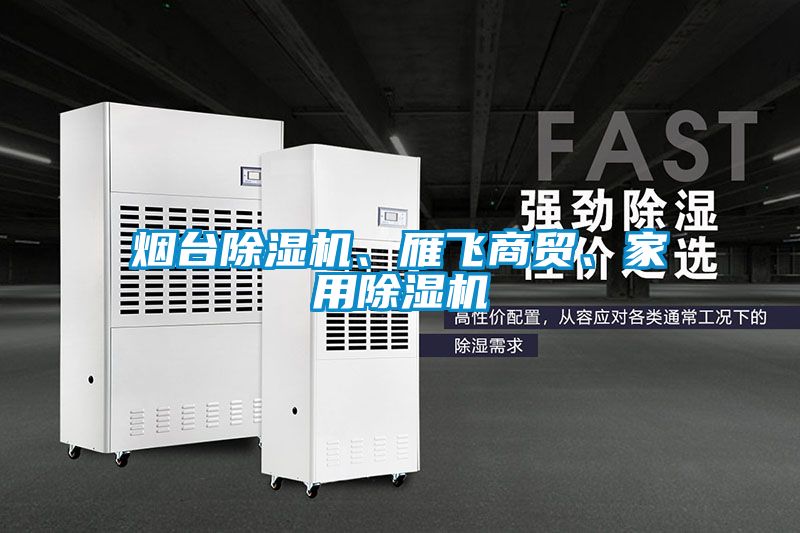煙臺(tái)除濕機(jī)、雁飛商貿(mào)、家用除濕機(jī)