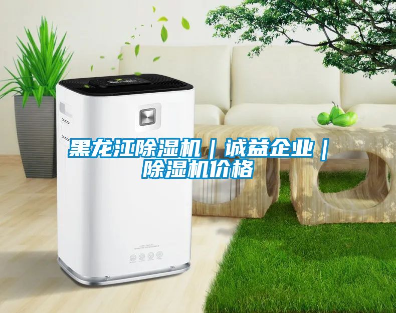 黑龍江除濕機(jī)｜誠益企業(yè)｜除濕機(jī)價格