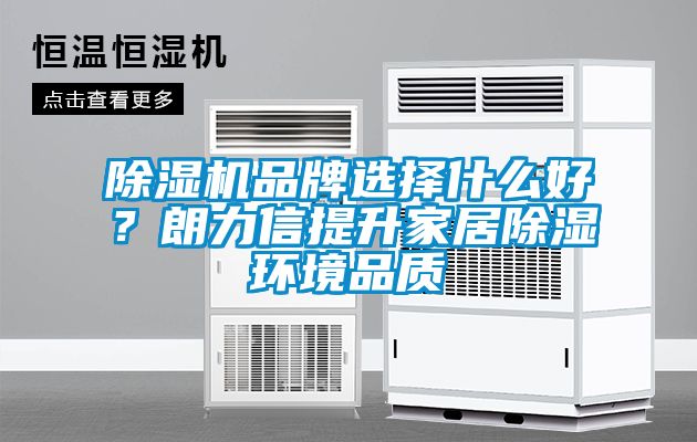 除濕機品牌選擇什么好？朗力信提升家居除濕環(huán)境品質(zhì)