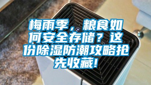 梅雨季，糧食如何安全存儲(chǔ)？這份除濕防潮攻略搶先收藏!