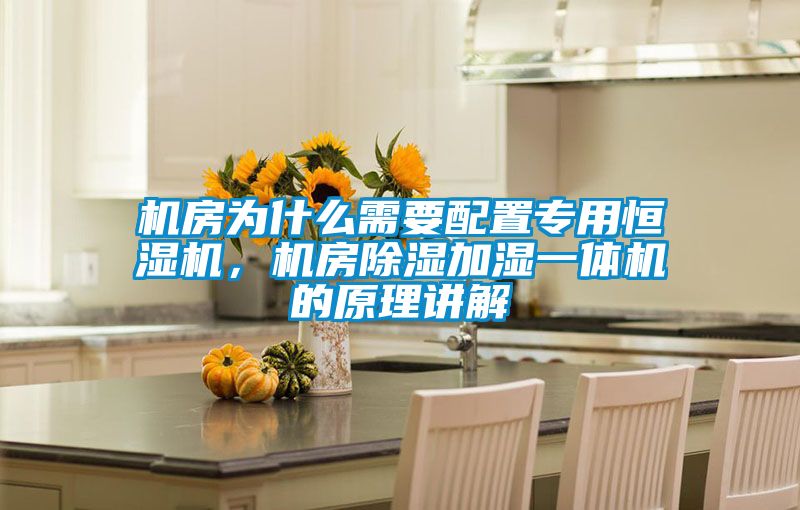 機(jī)房為什么需要配置專用恒濕機(jī)，機(jī)房除濕加濕一體機(jī)的原理講解