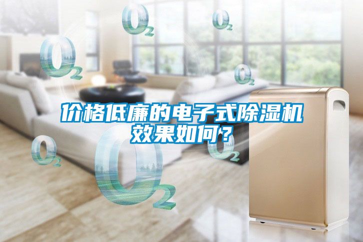 價(jià)格低廉的電子式除濕機(jī)效果如何？
