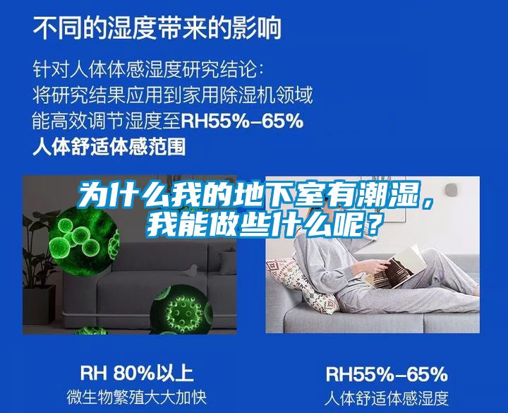 為什么我的地下室有潮濕， 我能做些什么呢？