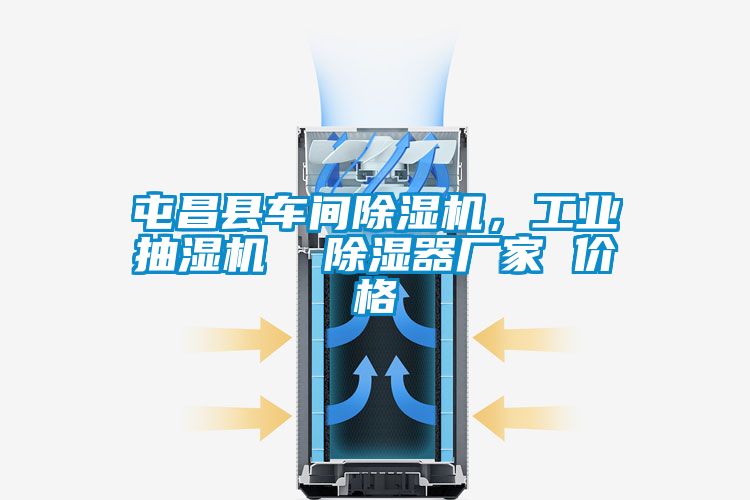 屯昌縣車(chē)間除濕機(jī)，工業(yè)抽濕機(jī)  除濕器廠家 價(jià)格