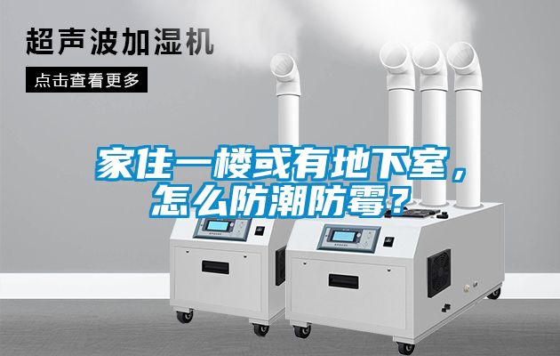 家住一樓或有地下室，怎么防潮防霉？