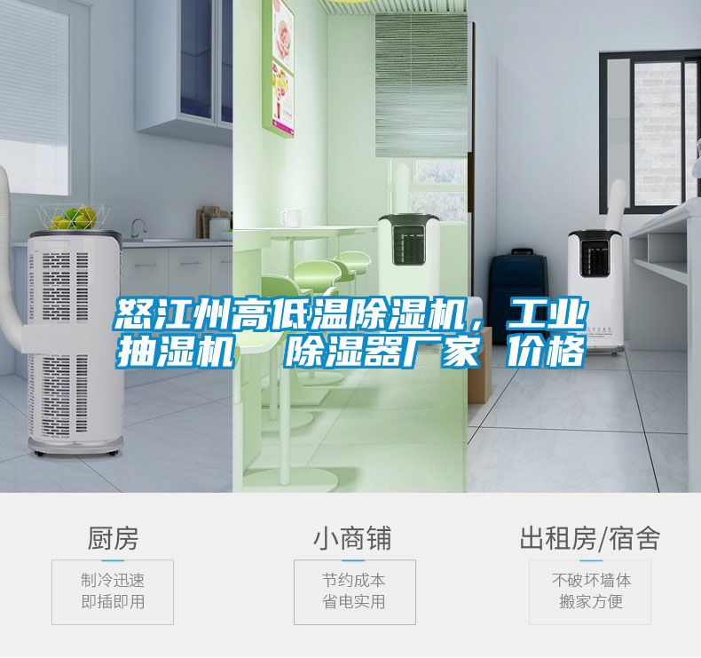 怒江州高低溫除濕機，工業(yè)抽濕機  除濕器廠家 價格