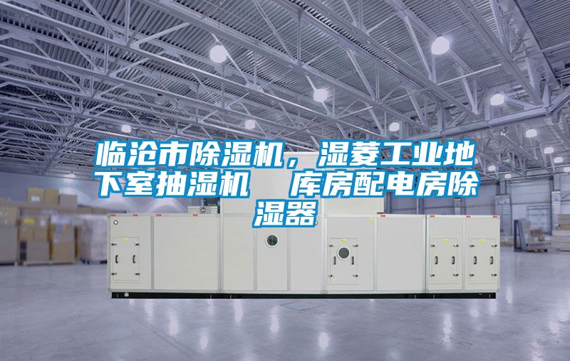 臨滄市除濕機(jī)，濕菱工業(yè)地下室抽濕機(jī)  庫房配電房除濕器