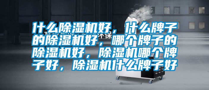 什么除濕機(jī)好，什么牌子的除濕機(jī)好，哪個(gè)牌子的除濕機(jī)好，除濕機(jī)哪個(gè)牌子好，除濕機(jī)什么牌子好
