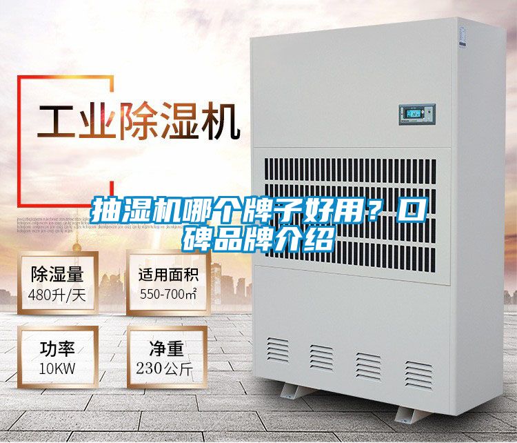 抽濕機哪個牌子好用？口碑品牌介紹