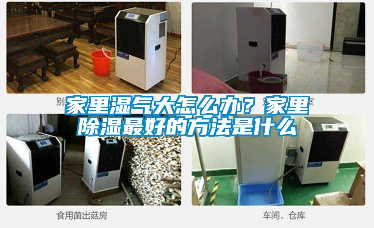 家里濕氣大怎么辦？家里除濕最好的方法是什么