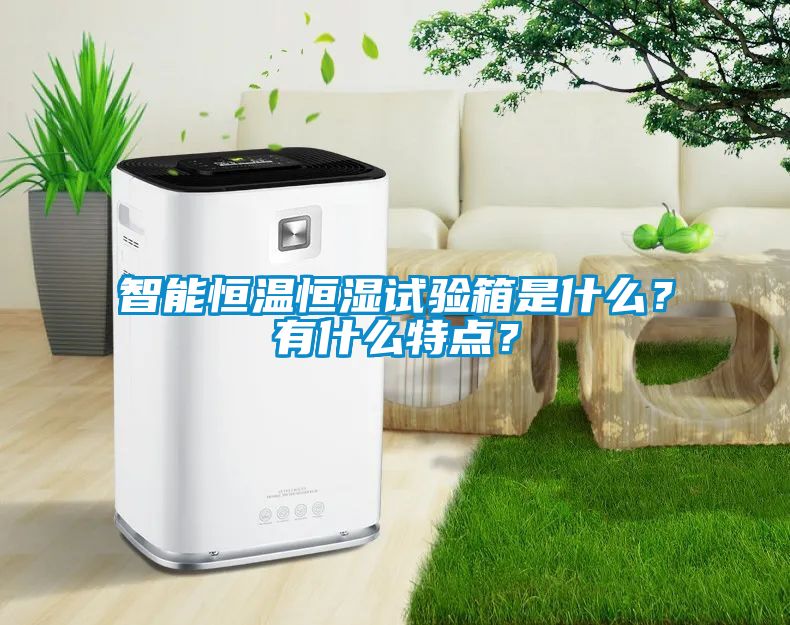 智能恒溫恒濕試驗(yàn)箱是什么？有什么特點(diǎn)？