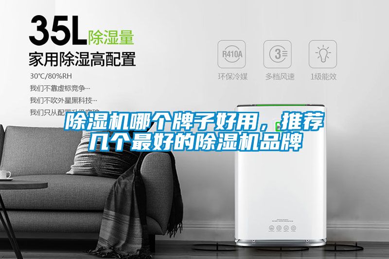 除濕機(jī)哪個牌子好用，推薦幾個最好的除濕機(jī)品牌