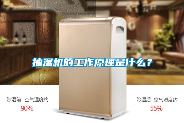 抽濕機(jī)的工作原理是什么？