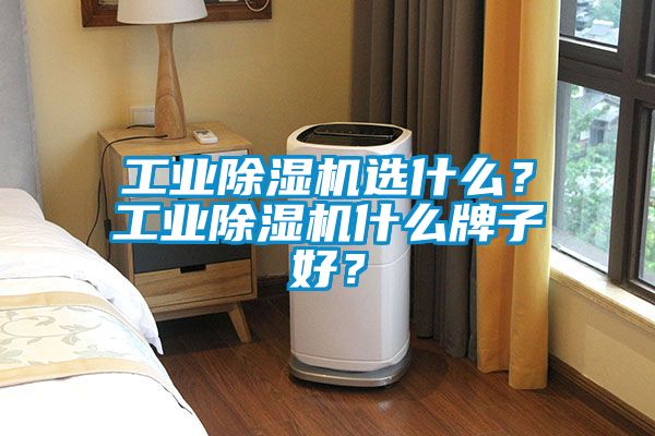 工業(yè)除濕機選什么？工業(yè)除濕機什么牌子好？