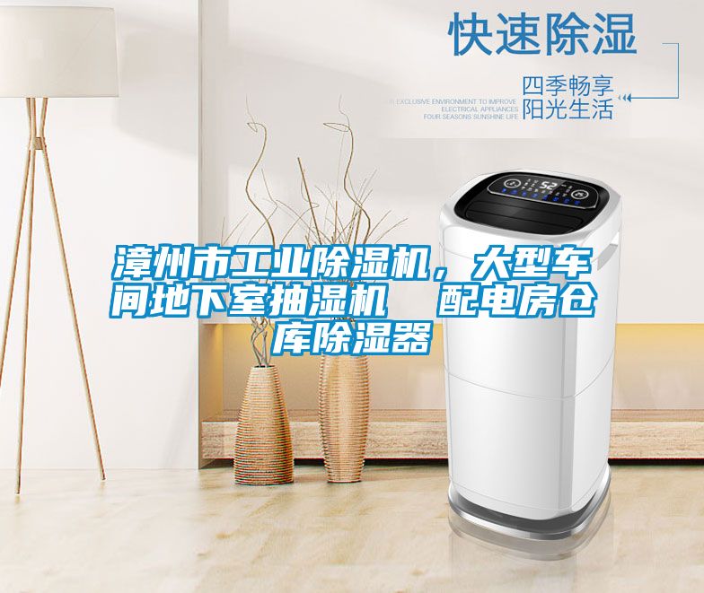 漳州市工業(yè)除濕機(jī)，大型車間地下室抽濕機(jī)  配電房倉庫除濕器