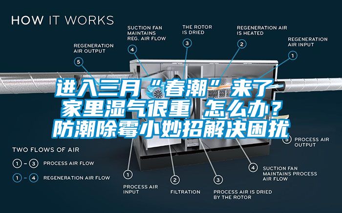 進入三月“春潮”來了 家里濕氣很重 怎么辦？防潮除霉小妙招解決困擾